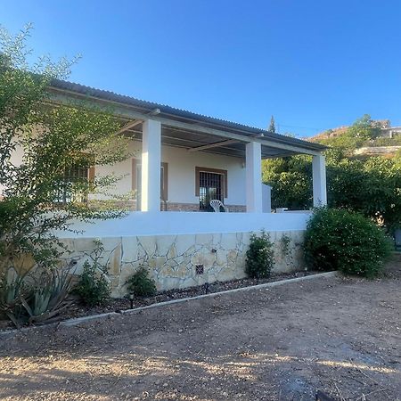 Finca Bocacha Málaga Dış mekan fotoğraf